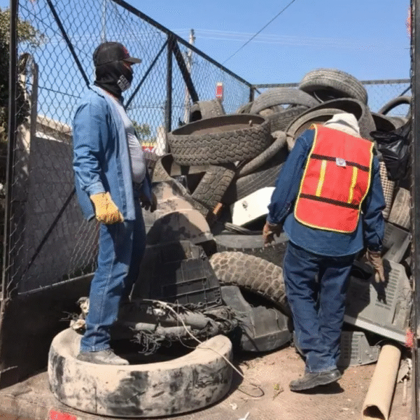 Amenaza por dengue en Navojoa: detectan casos sospechosos y uno confirmado