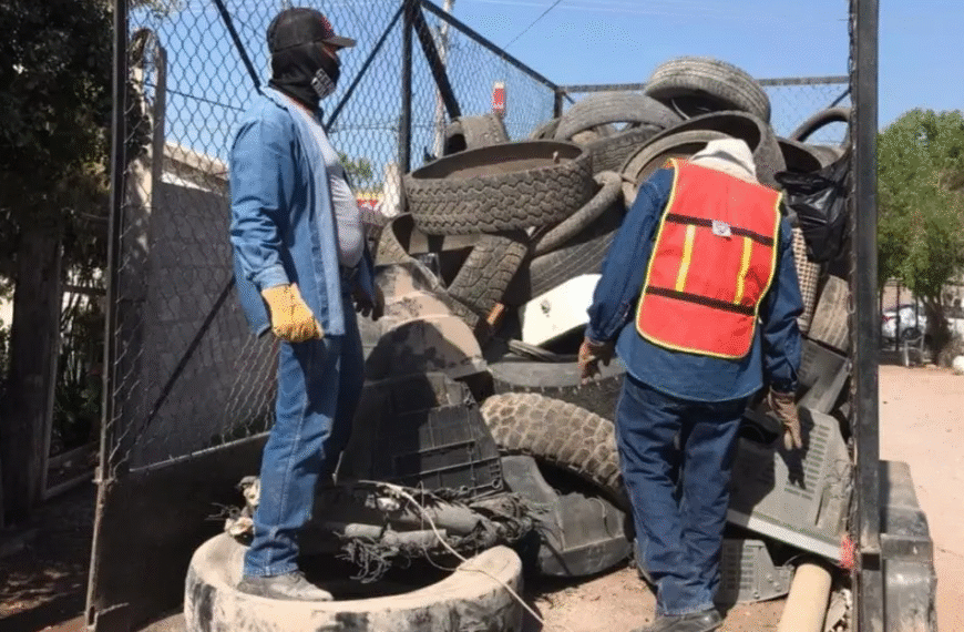 Amenaza por dengue en Navojoa: detectan casos sospechosos y uno confirmado