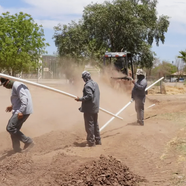 Avanza proyecto de Bosque Urbano en Navojoa: instalan sistema de riego para mil 500 árboles este año