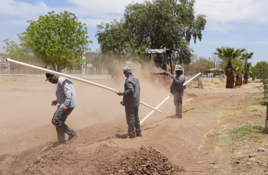 Avanza proyecto de Bosque Urbano en Navojoa: instalan sistema de riego para mil 500 árboles este año