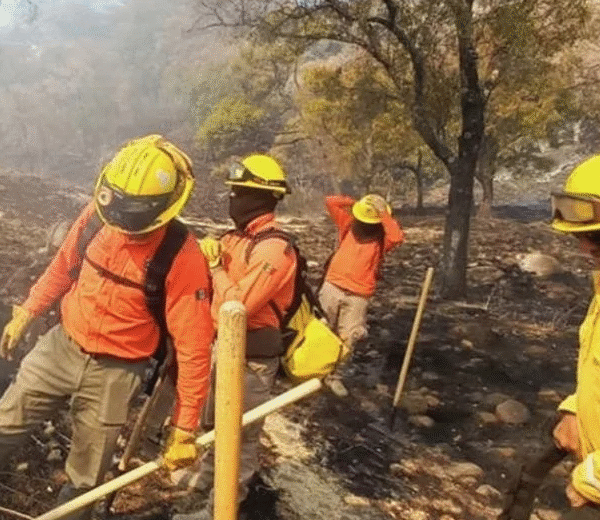 Incendios forestales en Yécora afectan severamente a ganaderos; ya están controlados