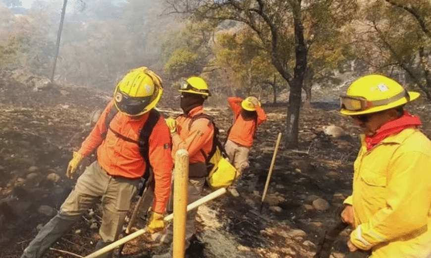 Incendios forestales en Yécora afectan severamente a ganaderos; ya están controlados