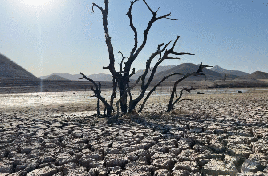 Buscan declarar al sur de Sonora como zona de desastre natural por sequía