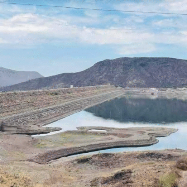 Lluvias recientes podrían no resultar benéficas para el campo de Sonora: experto