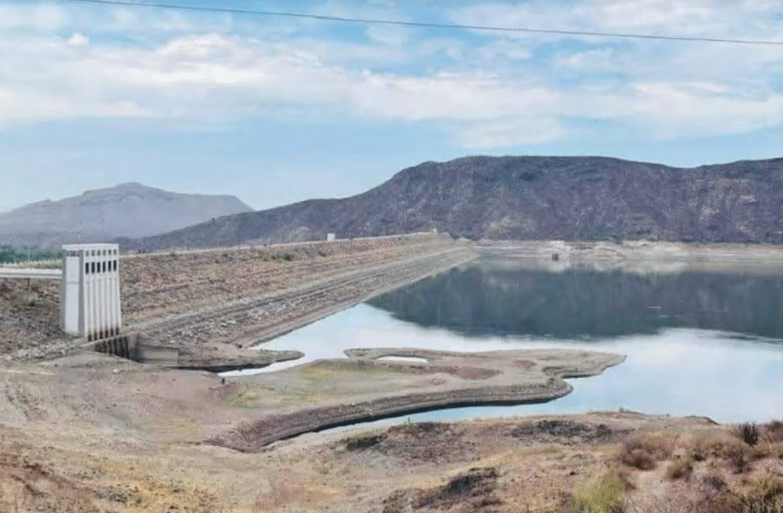 Lluvias recientes podrían no resultar benéficas para el campo de Sonora: experto