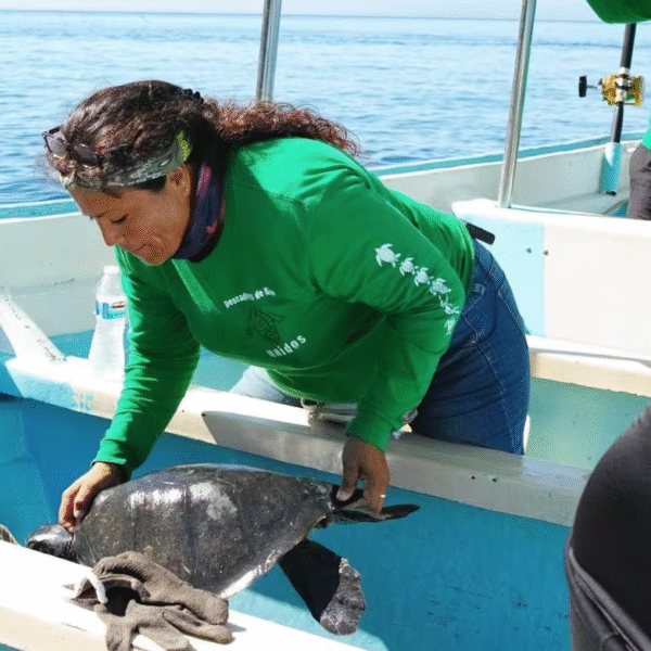 “El llanto de las tortugas” llega a la Cineteca Sonora y crea comunidad por la conservación