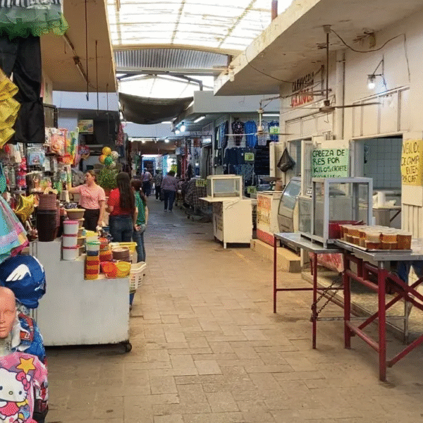 Calor sofoca las ventas en el Mercado Municipal de Navojoa; caen hasta 50%