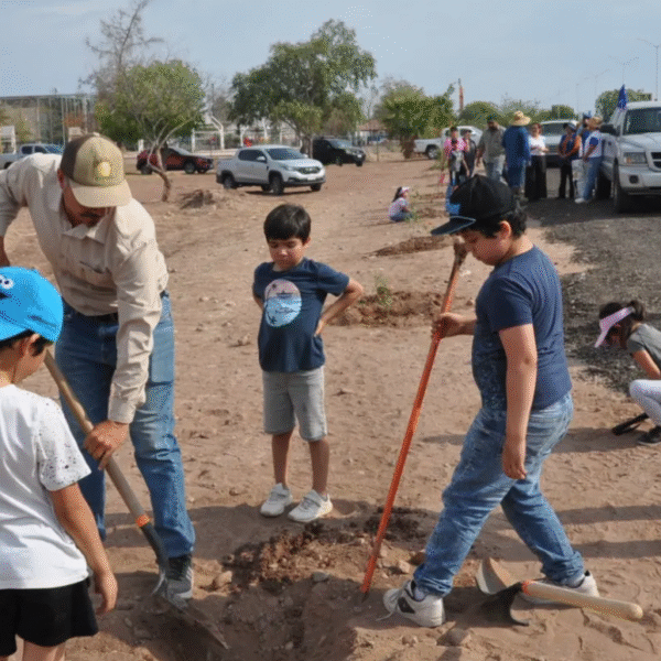 Suma Acción Verde más de 800 árboles reforestados en 2025; llaman a cuidar y sumarse al esfuerzo