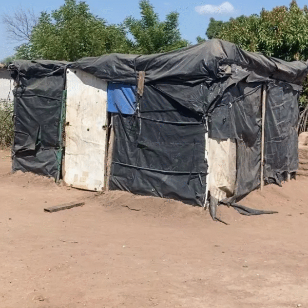 Etchojoa proyecta construir dos mil viviendas para reducir rezago habitacional