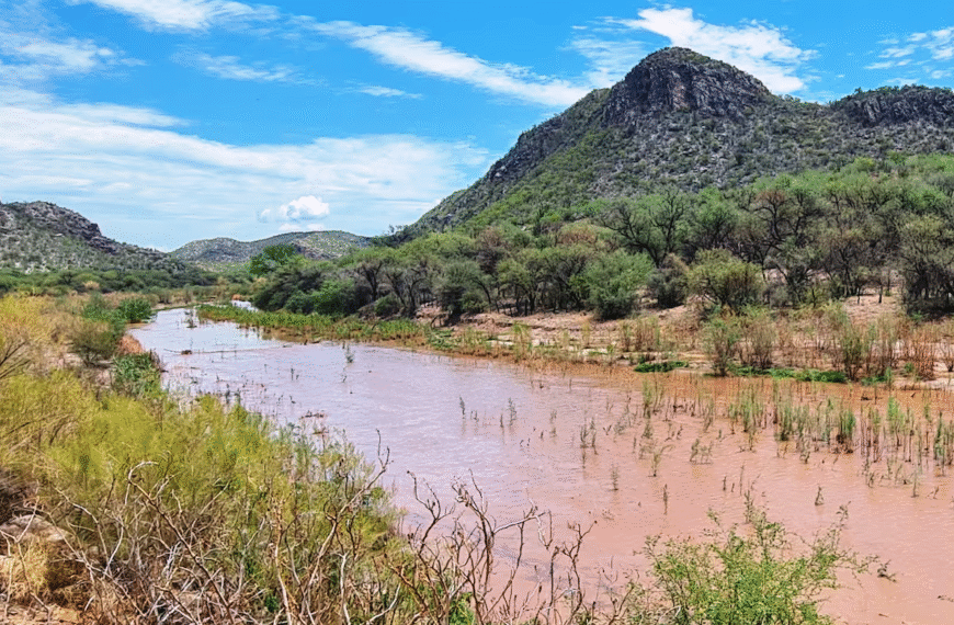A casi 11 años del derrame en el Río Sonora, afectados exigen justicia y reparación por parte de Grupo México