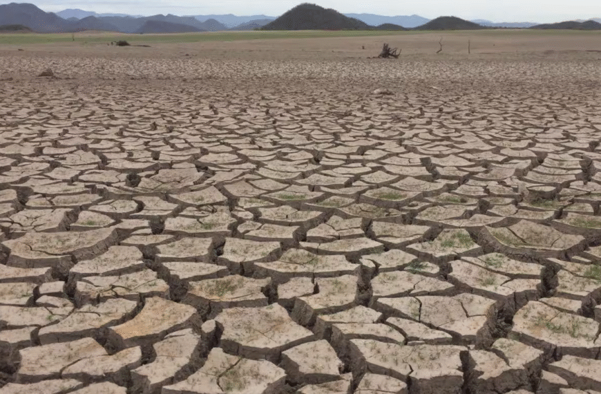 Sequía severa amenaza a Sonora y el norte del país; peligra producción agrícola y ganadera