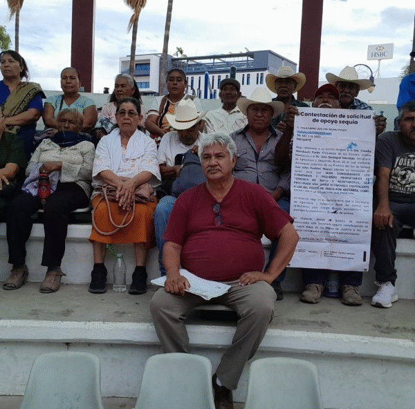 Crisis agrícola golpea a pueblos mayos: sin agua, sin trabajo y sin respuestas