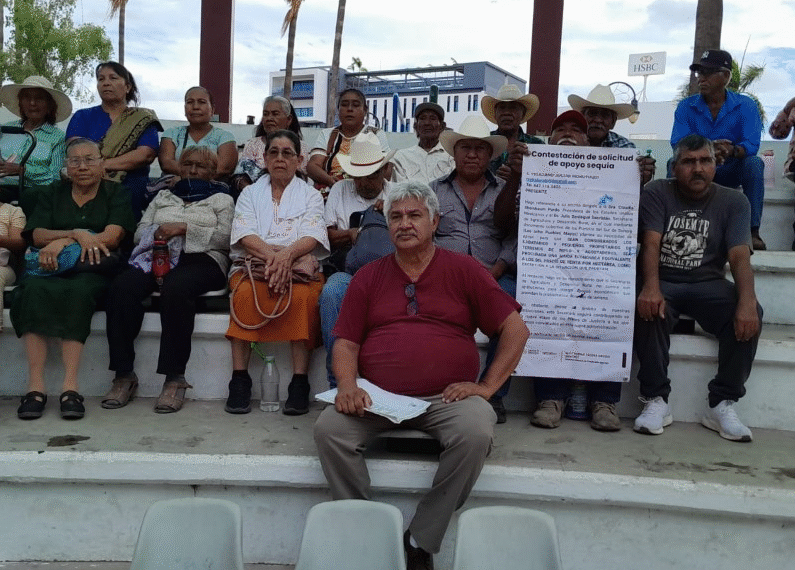 Crisis agrícola golpea a pueblos mayos: sin agua, sin trabajo y sin respuestas