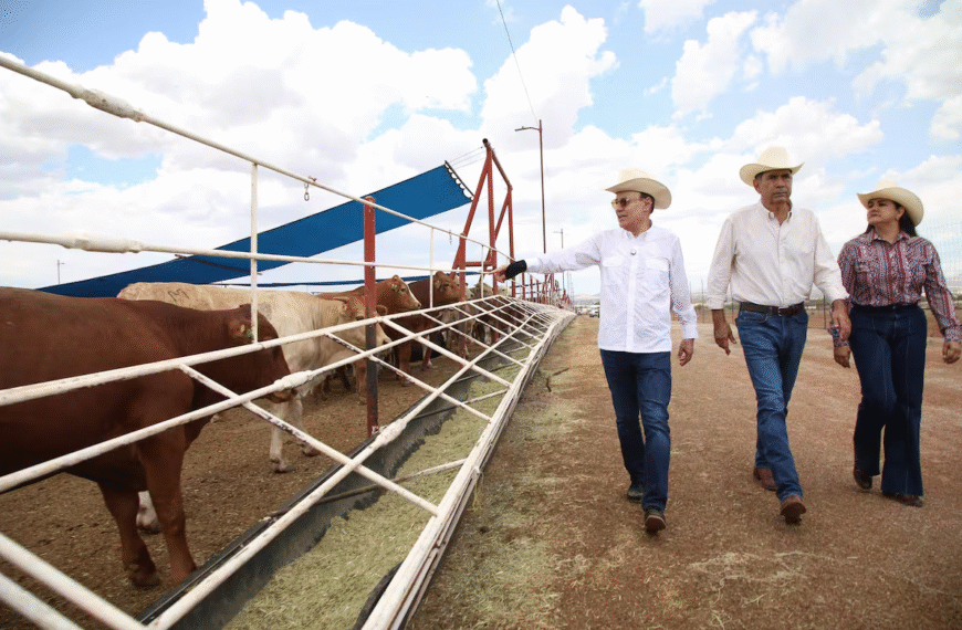 Sonora reafirma liderazgo en sanidad animal con reactivación de exportaciones ganaderas