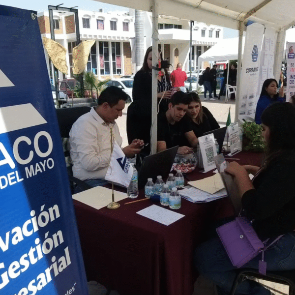 Baja empleo formal en Navojoa durante junio; agricultura, ganadería y pesca, los más afectados
