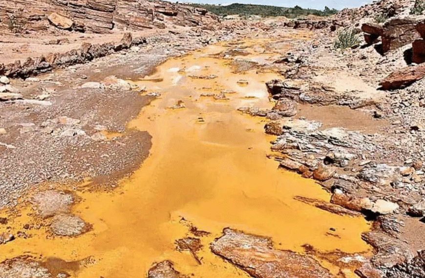 Río Sonora: once años sin justicia