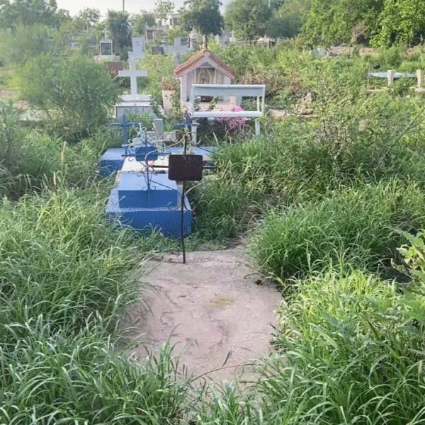 Panteones de Navojoa en riesgo de convertirse en criaderos de moscos por dengue