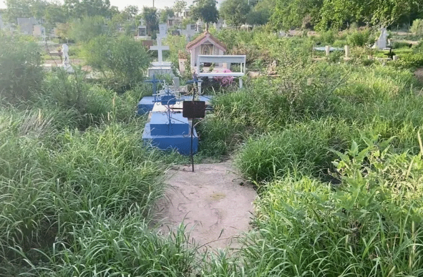 Panteones de Navojoa en riesgo de convertirse en criaderos de moscos por dengue