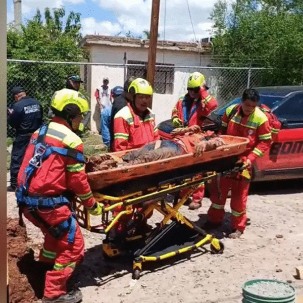 Colapsa zanja y deja atrapado a trabajador del Oomapas en Navojoa; Protección Civil logra rescatarlo con vida