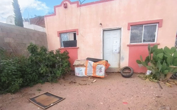 Autoridades rescatan a más de 50 perros en Nogales; varios fueron encontrados muertos