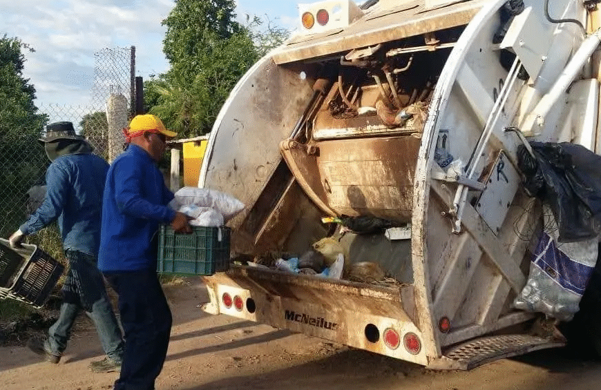 Ola de calor golpea fuerte a recolectores en Navojoa