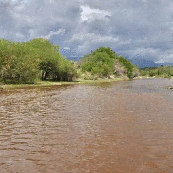 Autoridades advierten: es peligroso bañarse en el Río Mayo