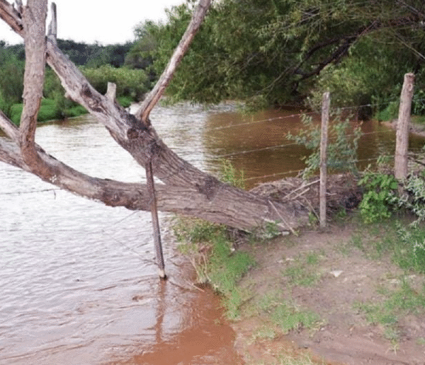 Gobierno trabaja en acuerdo con Grupo México para reparar daños en Río Sonora: Sheinbaum