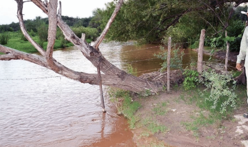 Gobierno trabaja en acuerdo con Grupo México para reparar daños en Río Sonora: Sheinbaum