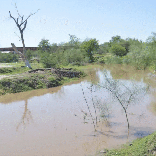 Regresa el agua al Río Mayo: un respiro natural tras las lluvias en Navojoa