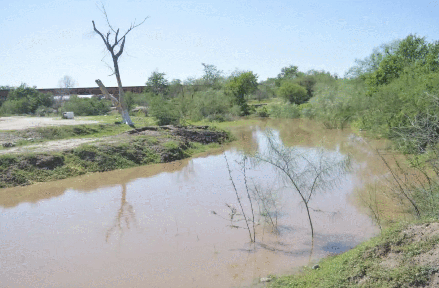 Regresa el agua al Río Mayo: un respiro natural tras las lluvias en Navojoa