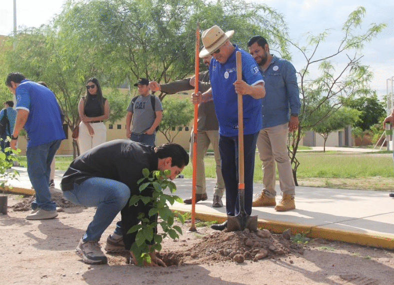 ITSON Navojoa celebra 70 años con la campaña “70 árboles, 70 años”