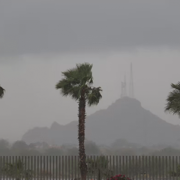 Tormenta tropical Lorena podría ingresar a Sonora y traer lluvias intensas