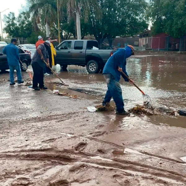 La basura intensifica riesgos de inundación en Navojoa