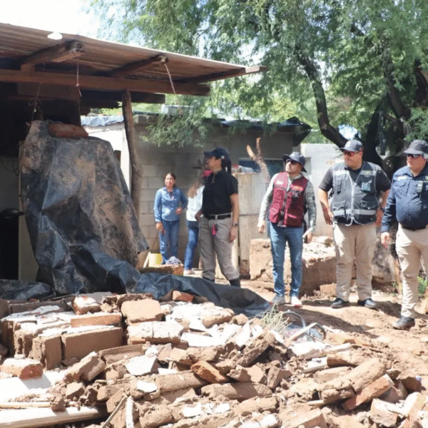 Bienestar en espera de instrucciones para activar apoyo a damnificados en el sur de Sonora