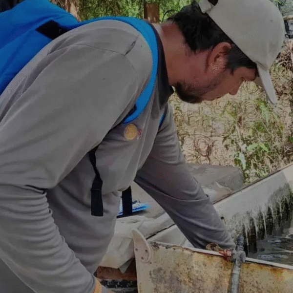 Vecinos de Navojoa llaman a reforzar combate al dengue