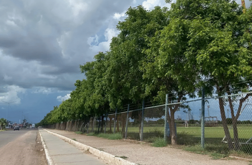Refuerzan vigilancia en unidades deportivas de Navojoa