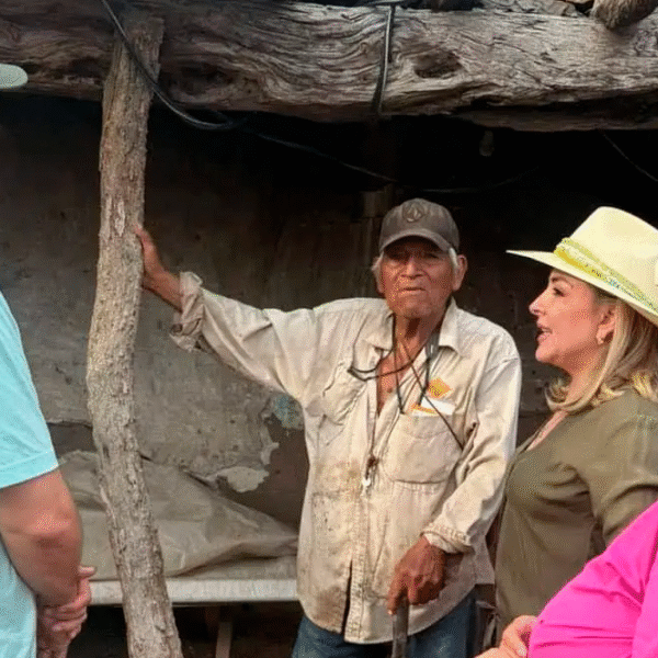 Construirán viviendas para familias afectadas en Saneal