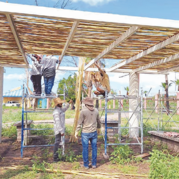 Segunda etapa de La Sauceda apuesta por diseño sustentable con palapas de carrizo
