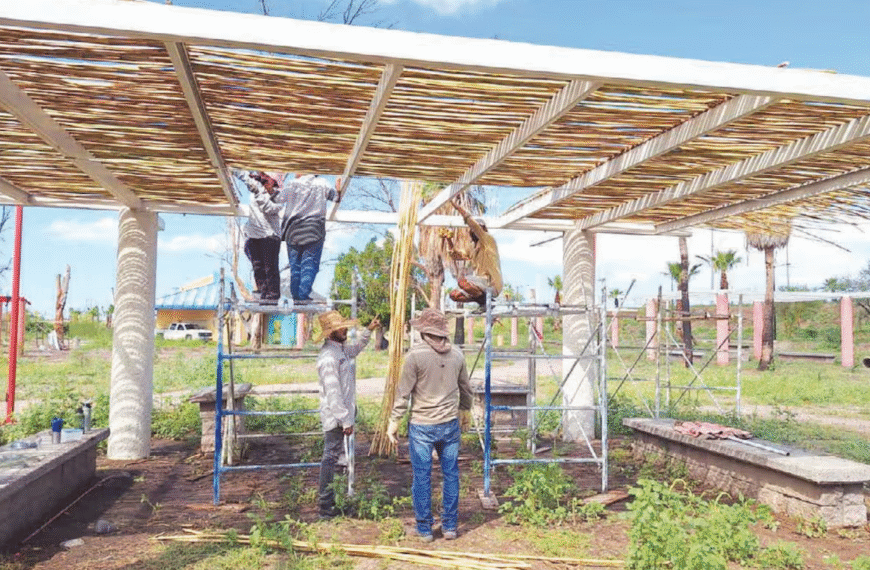 Segunda etapa de La Sauceda apuesta por diseño sustentable con palapas de carrizo