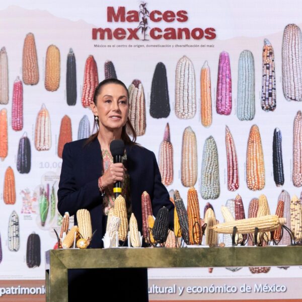 PRESIDENTA CLAUDIA SHEINBAUM ANUNCIA PROGRAMA SIN MAÍZ NO HAY PAÍS PARA SEMBRAR MAÍZ CON BIENESTAR