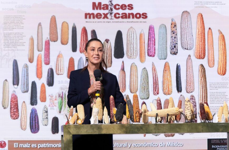 PRESIDENTA CLAUDIA SHEINBAUM ANUNCIA PROGRAMA SIN MAÍZ NO HAY PAÍS PARA SEMBRAR MAÍZ CON BIENESTAR