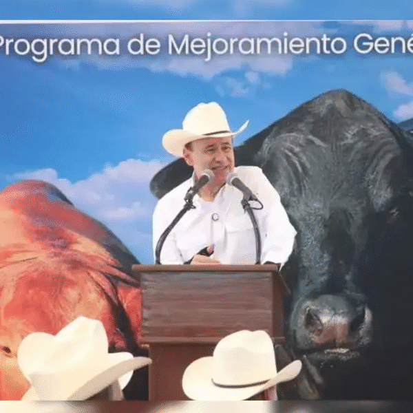 Arranca en Sonora Programa de Mejoramiento Genético Ganadero