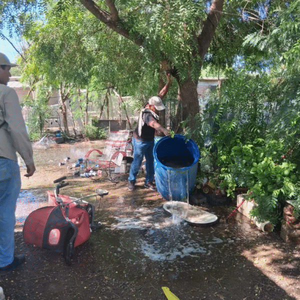 Aumentan casos de dengue en Navojoa, ya suman nueve