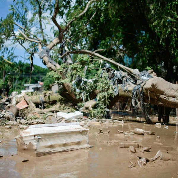 Tragedia por lluvias: 80 muertos y 18 desaparecidos en México