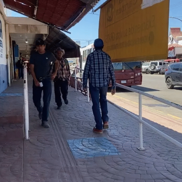 Navojoa crece 35% en tres décadas: suma más de 44 mil habitantes