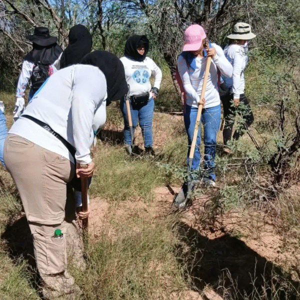 Niegan acceso a Buscadoras por la Paz en predio con fosas