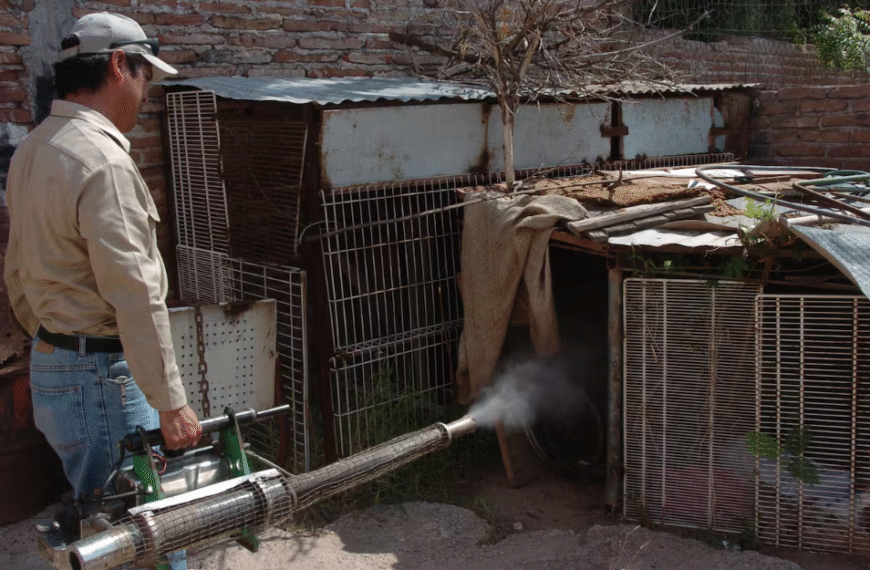 Refuerzan combate al dengue con fumigación en 44 colonias de Cajeme