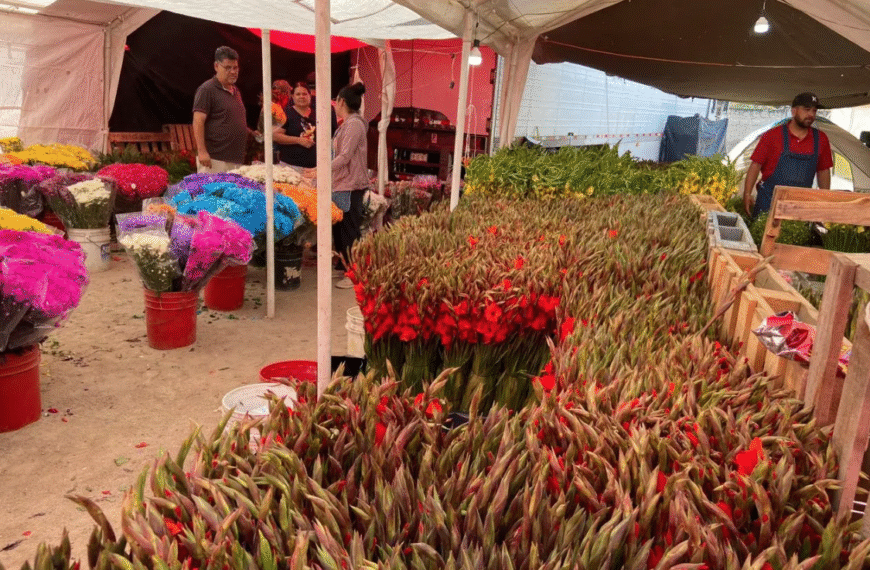 El Mercado de Abastos de Navojoa se llena de color con la flor del Día de Muertos