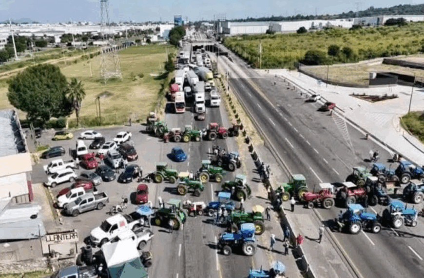 Productores de sorgo en Guanajuato mantienen presión pese a acuerdo con Sader