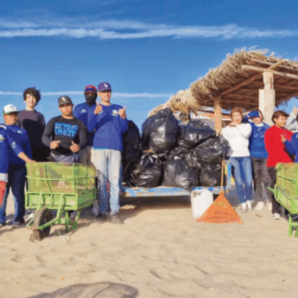 Inicia Credespa jornadas de limpieza en playas de Bahía de Kino